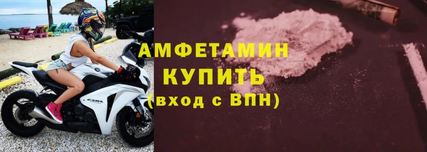прущие грибы Горняк