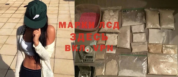 прущие грибы Горняк