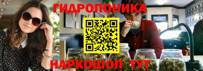 гидропоника Ирбит
