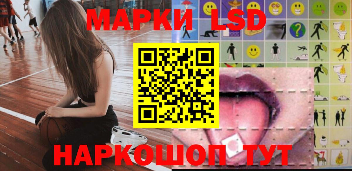 Галлюциногенные грибы Малоярославец