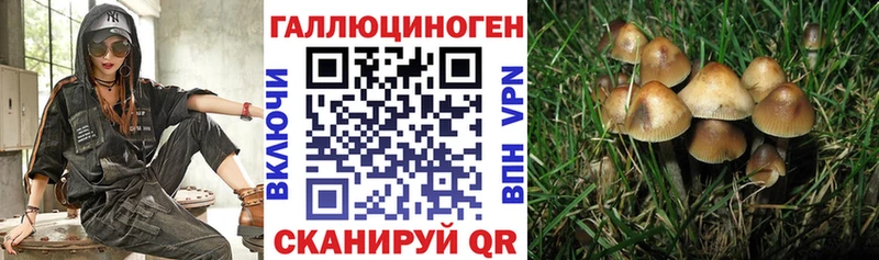 купить закладку  Малоярославец  Псилоцибиновые грибы Psilocybine cubensis 