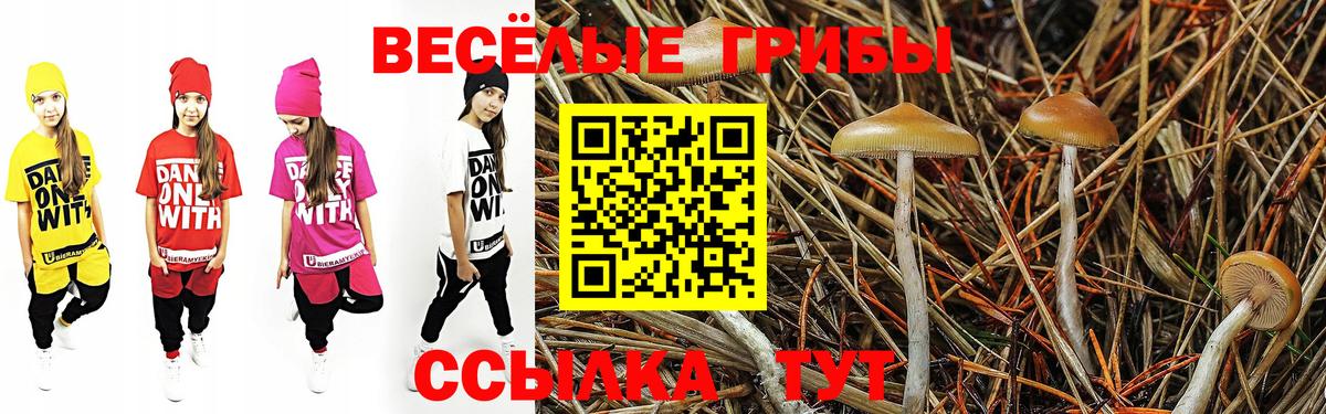 Псилоцибиновые грибы мухоморы Малоярославец