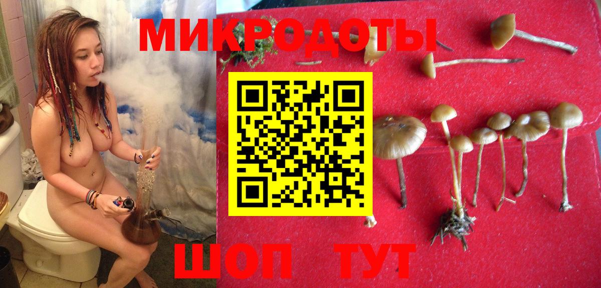 Псилоцибиновые грибы мицелий Малоярославец