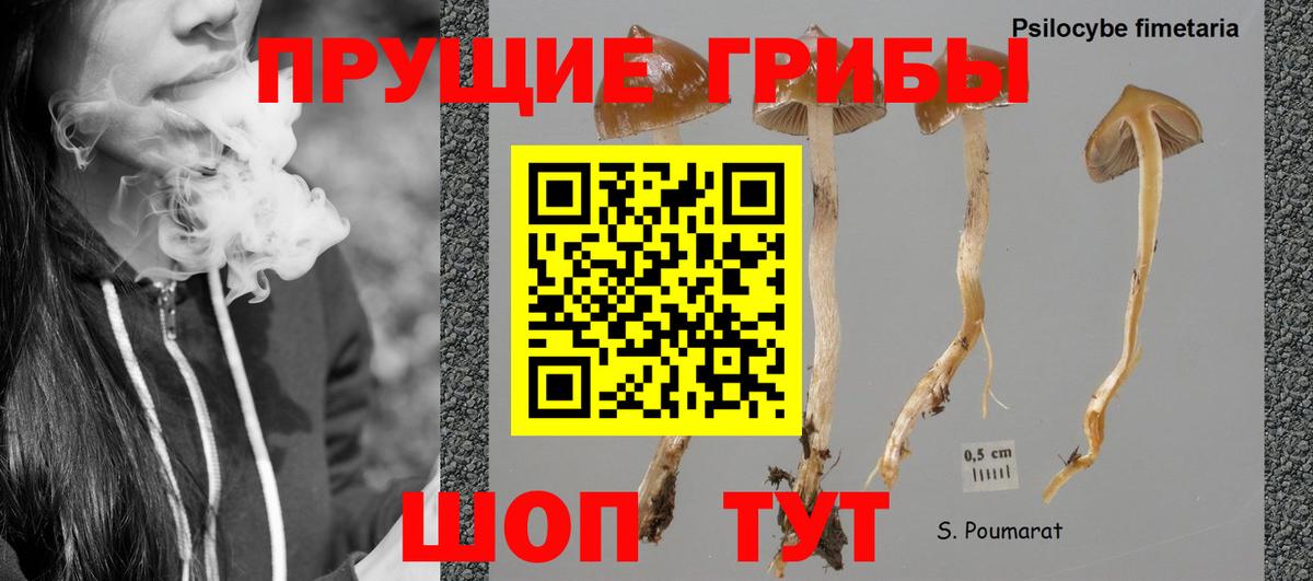 Галлюциногенные грибы мицелий  Галлюциногенные грибы Psilocybine cubensis  Вход с VPN  Малоярославец 
